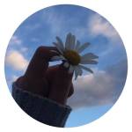 Testraj Testdemo Profile Picture