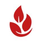 Start with Fiber profile picture