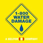 1 800 Water Damage of South Denver Profile Picture