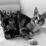 Milica Profile Picture