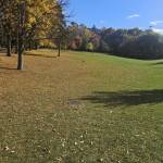 Amir G profile picture