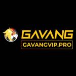 Gavangvip Pro Profile Picture