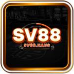 SV88 haus Profile Picture