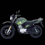 Yousaf Shah Profile Picture