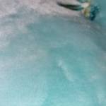 hehevh heheh Profile Picture