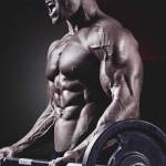 Frank DeCurtis Profile Picture