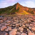 VINOD PAULSON Profile Picture