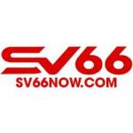 sv66 now Profile Picture