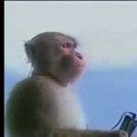 апоаотп апротаптап Profile Picture