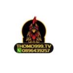 THOMO999 TV Trực Tiếp Đá Gà Thomo SV388 Profile Picture