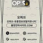 영등포오피 오피쓰주소COM 영등포OP Profile Picture