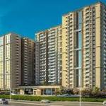 rizam josh Profile Picture