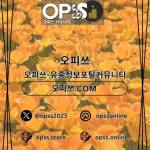홍대오피 오피사이트NET 홍대OP Profile Picture