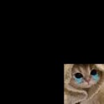 Name Word Profile Picture