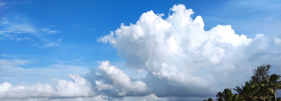 Ploceus Building Cover Image