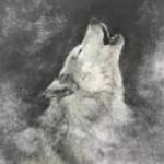 xaos0725 Profile Picture