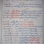 محمد فوزى Profile Picture