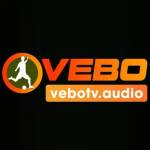 vebotv audio Profile Picture