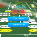 Taixiumd5 Run Profile Picture