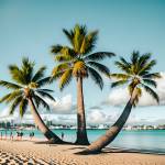 Rich Hubbard Profile Picture