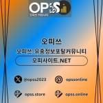 분당오피 오피쓰COM 분당OP Profile Picture