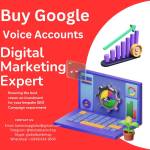Buy Google Voice Accounts Profile Picture