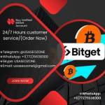 Buy Verified BitGet Account Profile Picture