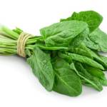 vijay kumar Profile Picture