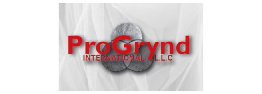 Progrynd LLC Cover Image
