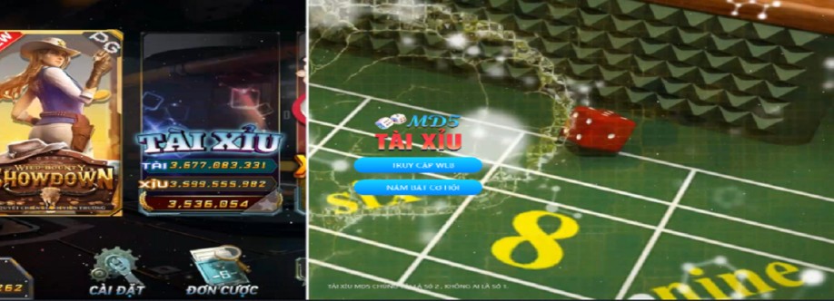 Taixiumd5 Run Cover Image