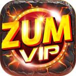 Zumvip Net Profile Picture