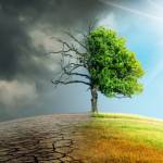 nmn nb Profile Picture