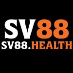 SV 88 Profile Picture