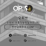 향남건마 오피쓰COM 향남마사지 Profile Picture