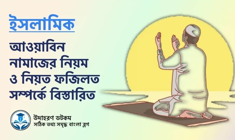 আওয়াবিন নামাজ পড়ার নিয়ম ও নিয়ত: বিশেষ ফজিলতপূর্ণ ইবাদত