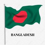 md helal Profile Picture