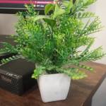 ajay verma Profile Picture