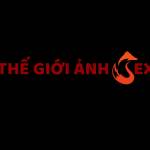 anh khoevu Profile Picture