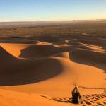 evening deserttsafari Profile Picture