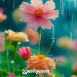 demo G Profile Picture