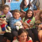 huziafa tu Profile Picture