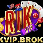 Rikvip Broker Profile Picture