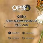 파주건마 오피쓰COM 파주마사지 Profile Picture