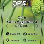 종로오피 오피CLUB 종로OP Profile Picture