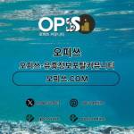 세종건마 오피사이트NET 세종마사지 Profile Picture