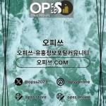 용인오피 오피CLUB 용인OP Profile Picture