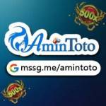Amintoto Official Profile Picture