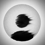 Vahid Bilal Profile Picture