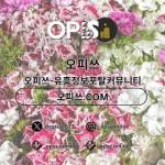 신도림건마 출장안마사이트COM 신도림마사지 Profile Picture