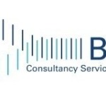 BI Consultancy Services BI Consultancy Services Profile Picture